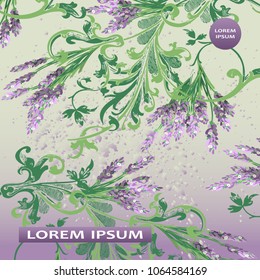 Lavender floral pattern cover design. Hand drawn baroque flower. Elegant trendy background blossom greenery branche. Graphic illustration wedding, invitation, poster, card, cover, catalog vector