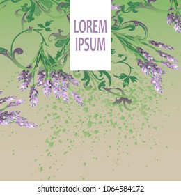 Lavender floral pattern cover design. Hand drawn baroque flower. Elegant trendy background blossom greenery branche. Graphic illustration wedding, invitation, poster, card, cover, catalog vector
