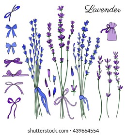 Lavender flower, bouquet, bows, ribbon hand drawn doodle vector sketch isolated on white, floral vintage graphic colorful collection for package tea, cosmetic design, wedding invitation, greeting card