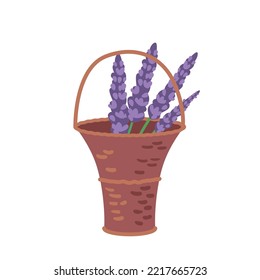 Lavender Flower Bouquet in Wicker Basket, Decorative Natural Element, Stems with Purple Blossoms, Beautiful Present Isolated on White Background. Cartoon Vector Illustration, Icon, Clip Art