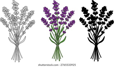 Lavender flower bunch vector illustration set with line art and silhouette
