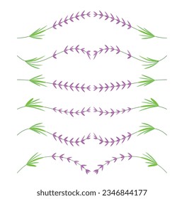 Elementos decorativos de flores de lavanda, divisores y adornos vintage, decoración de páginas naturales, color aislado en fondo blanco, ilustración vectorial.