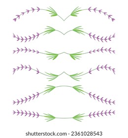 Lavender flower decorative elements, vintage dividers and ornaments, nature page decoration, color isolated on white background, vector illustration.