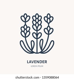 Lavender Flower Flat Line Icon. Medicinal Plant Vector Illustration. Thin Sign For Herbal Medicine, Essential Oil Logo.