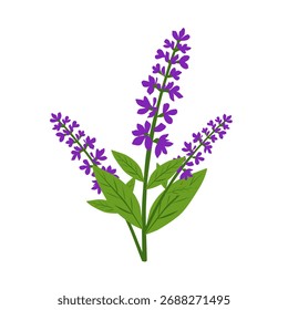 Flor de lavanda en Ilustración vectorial plana para aromaterapia, spa y marca de belleza natural. Ideal para empaques, carteles o impresiones botánicas.