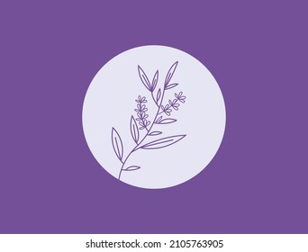 lavender flower fragrance line art vector illustration