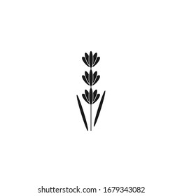 Lavender, flower, garden vector icon