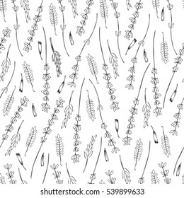 Lavender flower graphic seamless vector pattern hand drawn graphic texture background, triticale herb sketch isolated on white for wallpaper, textile, design packaging, wedding card, natural medicine