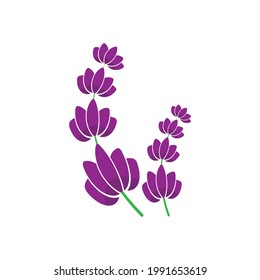 lavender flower icon design isolated on ehite background