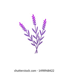 Lavender Flower Icon Design Vector