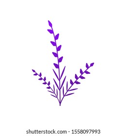 Lavender Flower Icon Design Vector Illustration