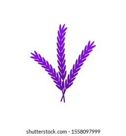 lavender flower icon design vector illustration