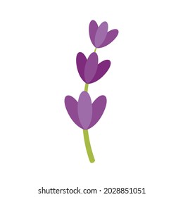 Icono de flor de lavanda. Ilustración plana del icono del vector de flores de lavanda aislado en fondo blanco