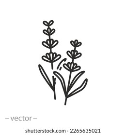 ícono de flor de lavanda, suplemento de aroma herbal, componente esencial para el spa o cosméticos, símbolo de línea delgada sobre fondo blanco - ilustración de trazo editable eps10