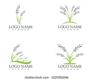 Lavender flower icon sign logo