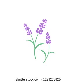 Lavender flower icon. Vector illustration EPS10. Isolated lavender on white background. Violet flower sign