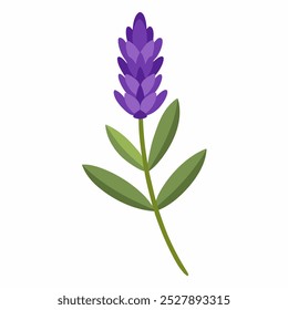 Ícone de flor de lavanda fundo branco 
