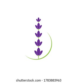 lavanda, vector del logotipo de la ilustración floral