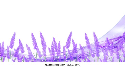 
Lavender flower landscape background
