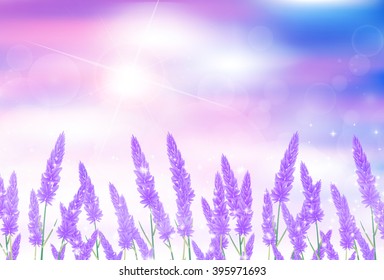 
Lavender flower landscape background
