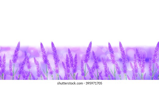 
Lavender flower landscape background