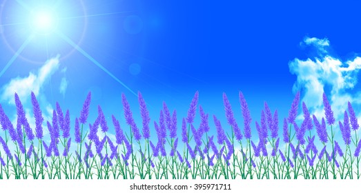 
Lavender flower landscape background