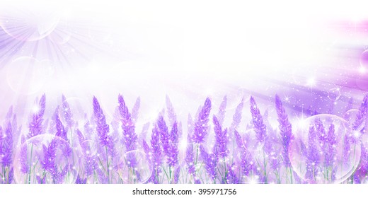 
Lavender flower landscape background