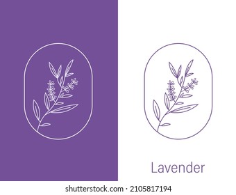 lavender flower line art vector illustration