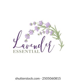 Logo-Design der Lavendelblume. Eleganter Blumensubol