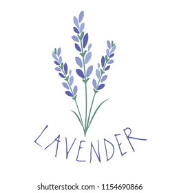 Lavender flower. Logo design. Text hand drawn.