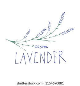 Lavender flower. Logo design. Text hand drawn.