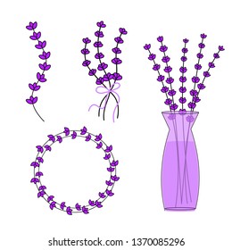 Lavender flower on the white background