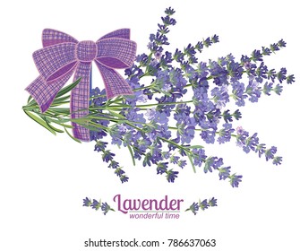 Lavender flower on white background. Colorful vintage vector illustration, watercolor style France provence retro pattern for romantic fresh design concept. Natural lavander aromatherapy treatment spa