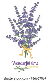 Lavender flower on white background. Colorful vintage vector illustration, watercolor style France provence retro pattern for romantic fresh design concept. Natural lavander aromatherapy treatment spa