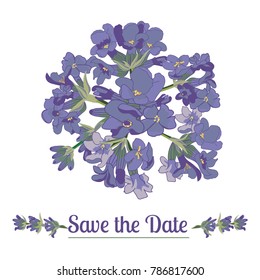 Lavender flower on white background. Colorful vintage vector illustration, watercolor style France provence retro pattern for romantic fresh design concept. Natural lavander aromatherapy treatment spa