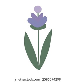 Lavender, flower, plant. Vector flat illustration, on a white background.