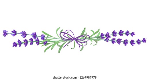 Lavender flower. Romantic wedding invitations. Fresh cut fragrant plant flowers - bunch realistic. vector illustration. 