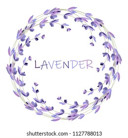 Lavender flower round frame on white. Vector packaging design template and emblem - beauty and cosmetic oil - lavender