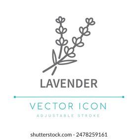 Lavender Flower Scent Line Icon, Candle and Soap Fragrance Vector Symbol, Cosmetics Perfume Ingredient Logo Label 