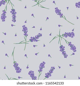 Lavender flower seamless texture background, design pattern print.