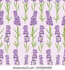 Lavender flower seamless vector hand drawn, botanical pattern, wallpaper purple lavender petals, floral illustration