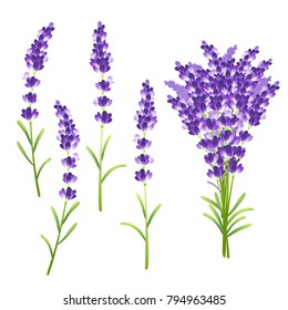 8,130 Lavender Bunch Illustration Images, Stock Photos & Vectors ...