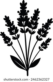 A lavender flower silhouette black vector artwork illustration