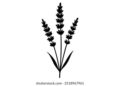 Lavanda Flor silhueta ilustração vetorial com fundo branco.