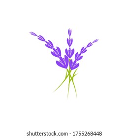 Lavender flower Vector icon illustration design Template