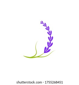 Lavender flower Vector icon illustration design Template