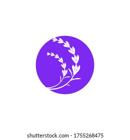 Lavender flower Vector icon illustration design Template