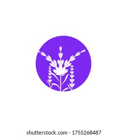 Lavender flower Vector icon illustration design Template