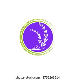 Lavender flower Vector icon illustration design Template