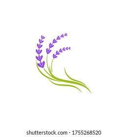 Lavender flower Vector icon illustration design Template